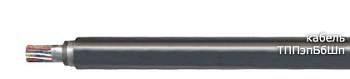 Кабель ТППэпБбШп 50х2х0,5 в интернет-магазине «Элмартс»